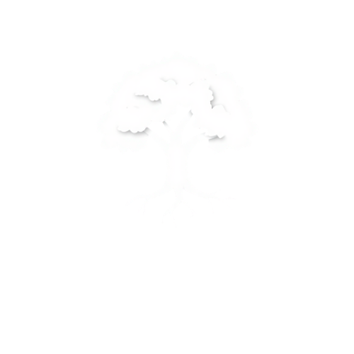 The Secret Place Logo