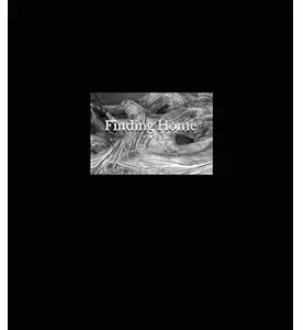 Finding Home by Marianna Clark Taylor