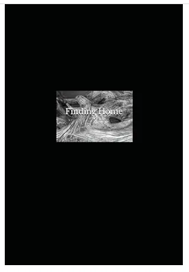Finding Home by Marianna Clark Taylor